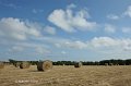Round bales near Rosslare, Co. Wexford